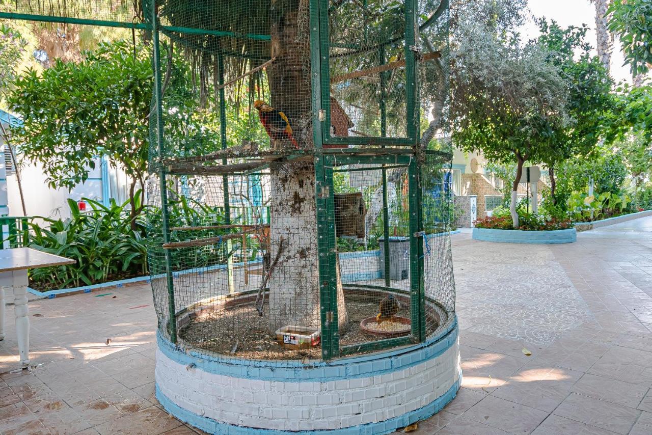 סייד Sunberk Hotel מראה חיצוני תמונה